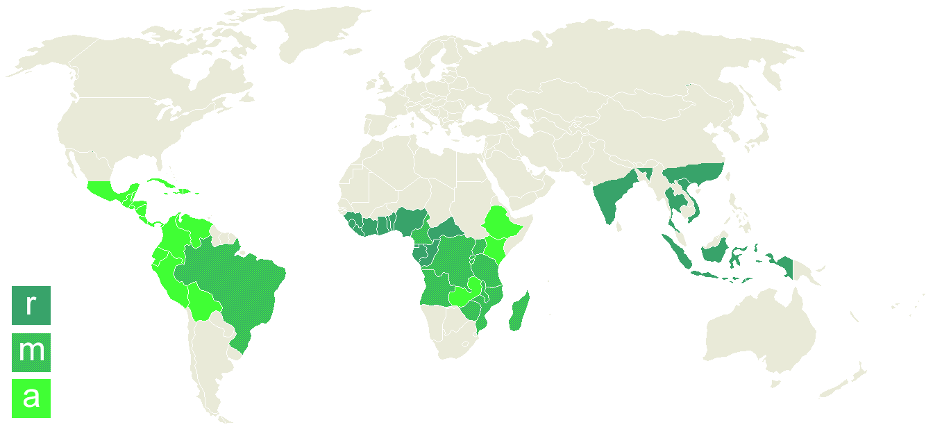 World map of Coffea arabica and Coffea robusta cultivation regions—the “Coffee Belt”