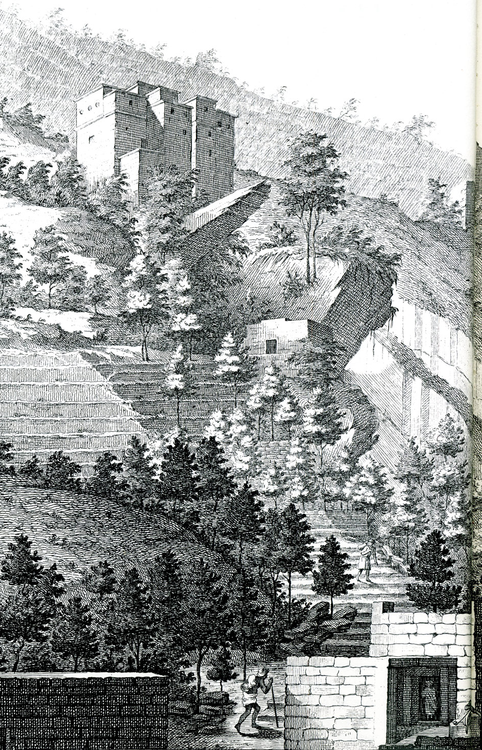 A coffee plantation in Yemen, drawn by Georg Wilhelm Baurenfeind during the Danish Arabia Expedition (1761&ndash;1767)